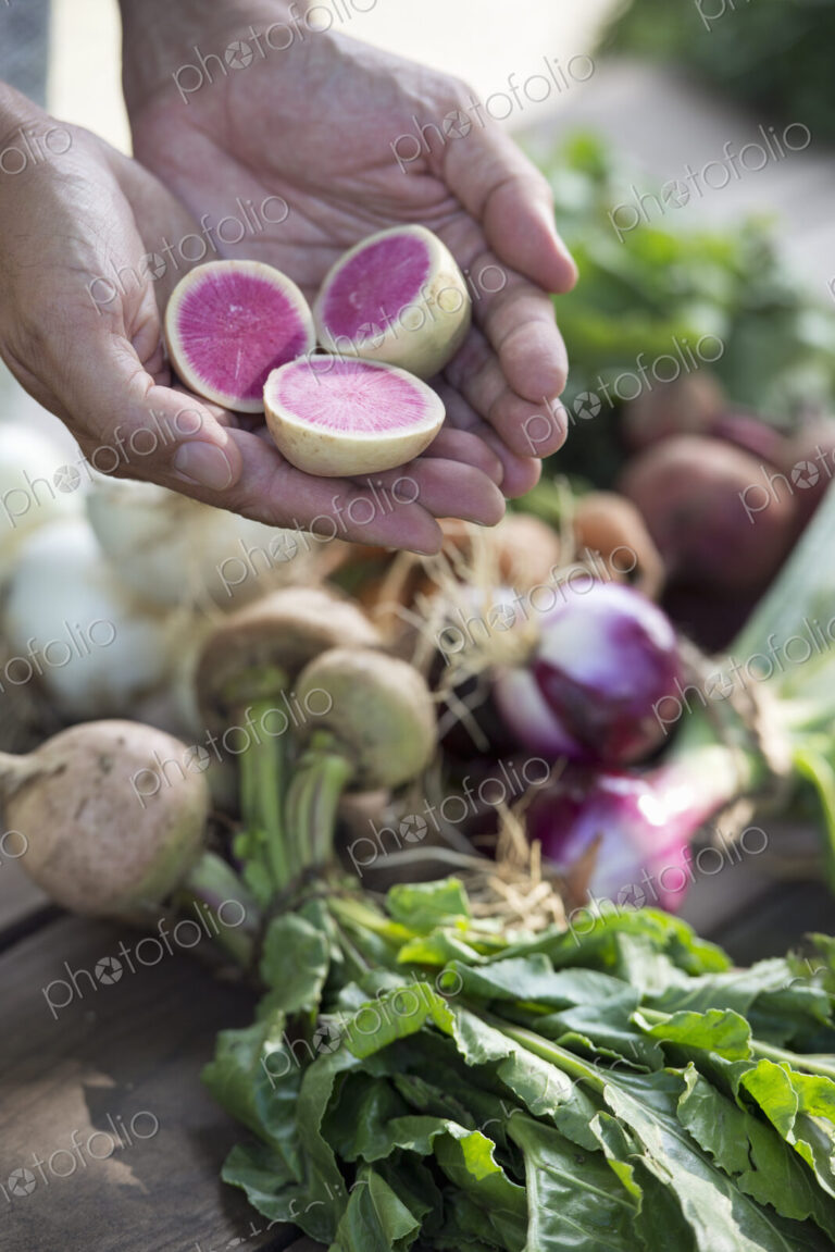 A person holding a handful of fresh root vegetables cut in half.