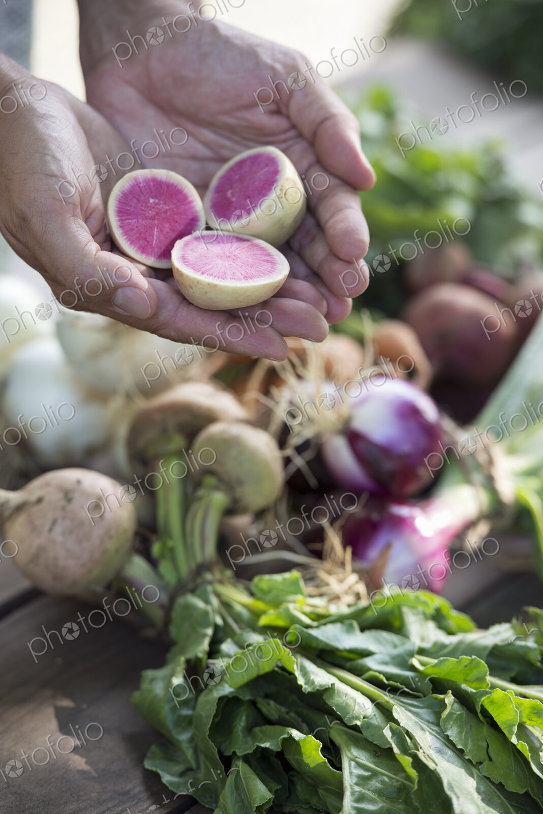 A person holding a handful of fresh root vegetables cut in half.