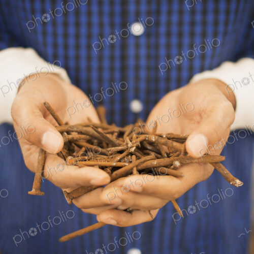 A person holding a heap of rusting metal nails taken from reclaimed timber. A person holding a heap of rusting metal nails taken from reclaimed timber.