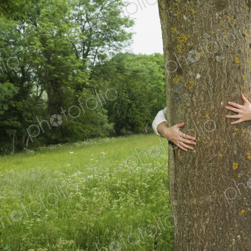A person hugging a tree. A person hugging a tree.