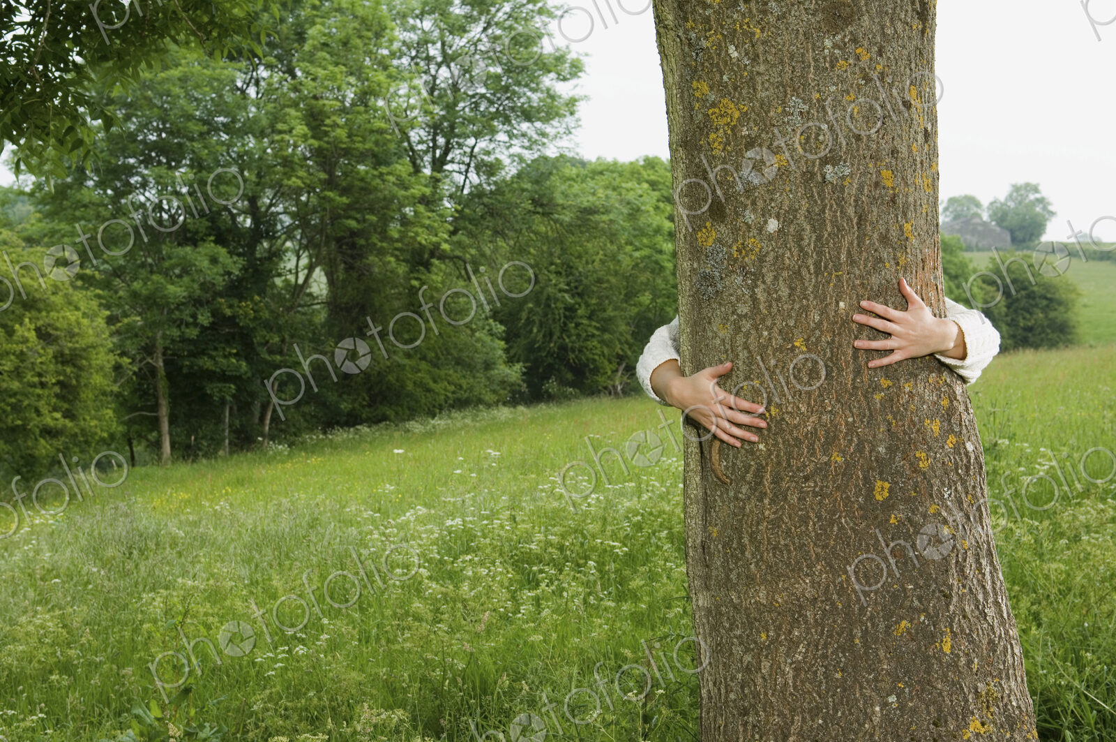 A person hugging a tree.