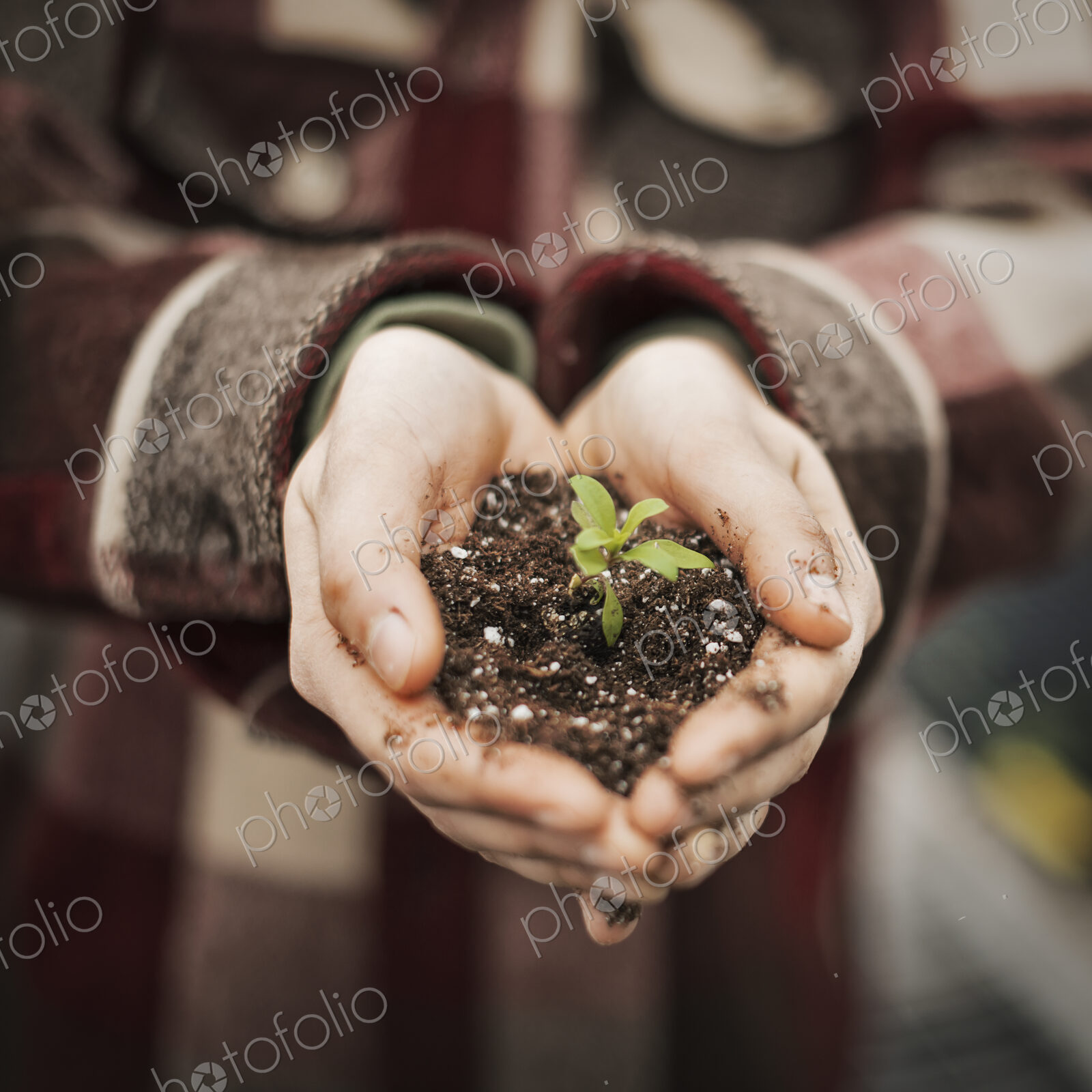 A person in a commercial glasshouse, holding a small plant seedling in soil in her…