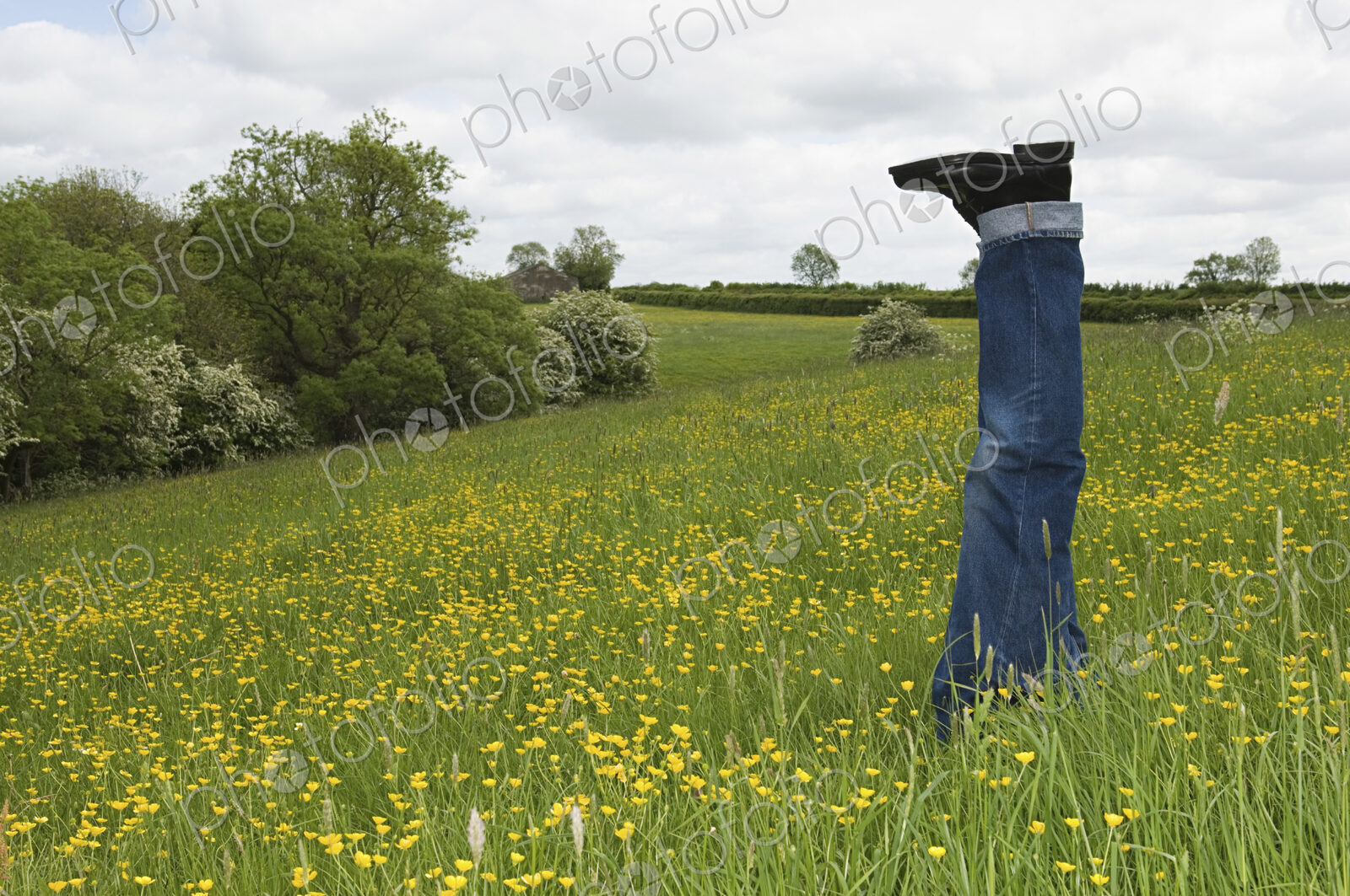 A person lying in a flower meadow, with legs sticking out of the grass.