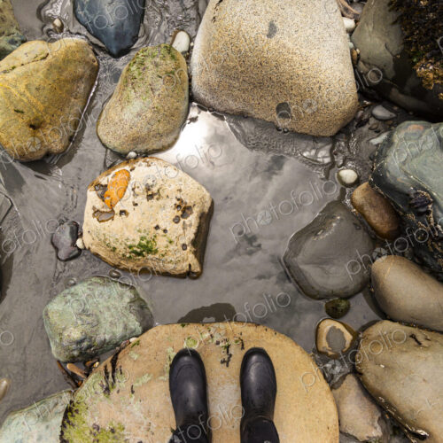 A person standing on a beach, looking at the reflection of forest and sky in a rock pool. A person standing on a beach, looking at the reflection of forest and sky in a rock pool.