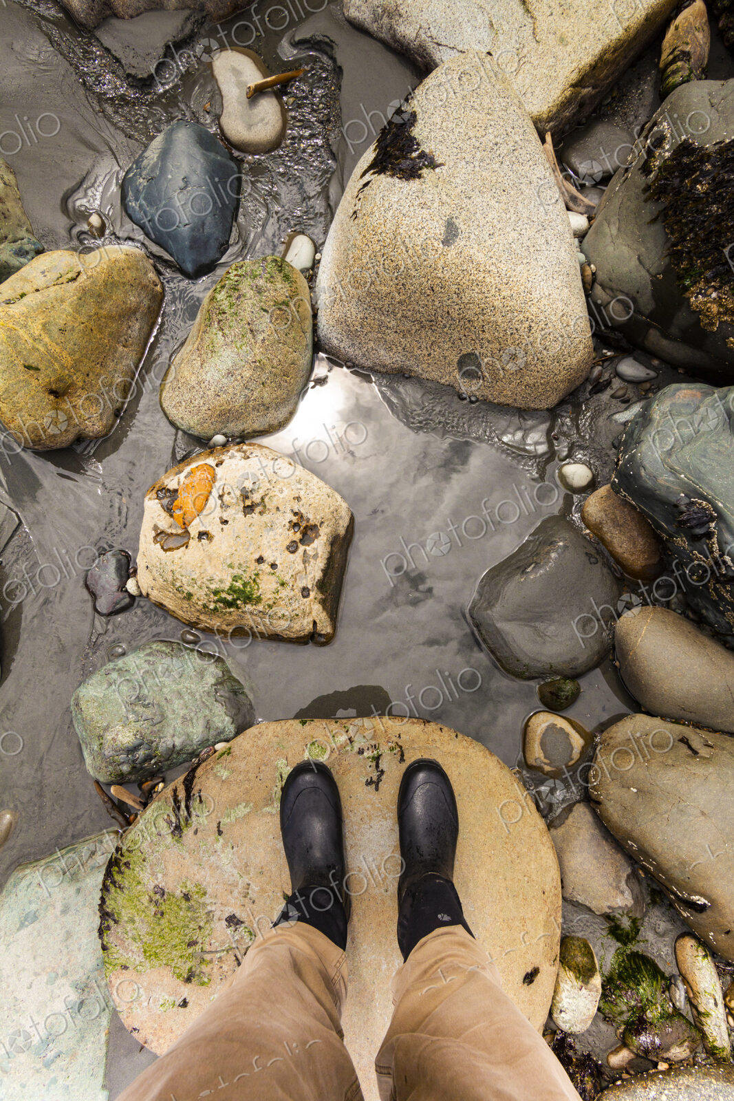 A person standing on a beach, looking at the reflection of forest and sky in a rock pool.