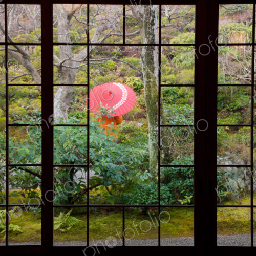 A person stands protected by an umbrella in a courtyard garden, Kyoto, Japan A person stands protected by an umbrella in a courtyard garden, Kyoto, Japan