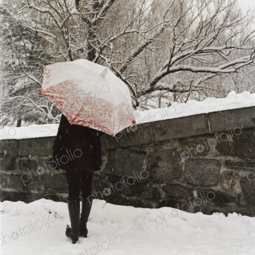 A person with an umbrella up walking along a path in a city park.