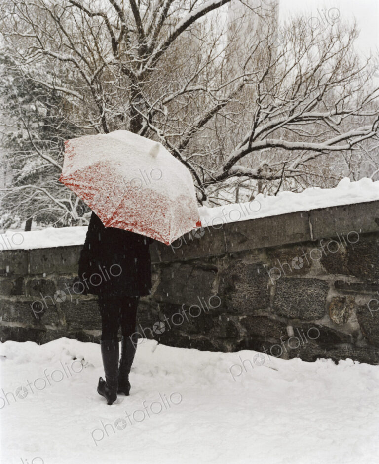 A person with an umbrella up walking along a path in a city park.