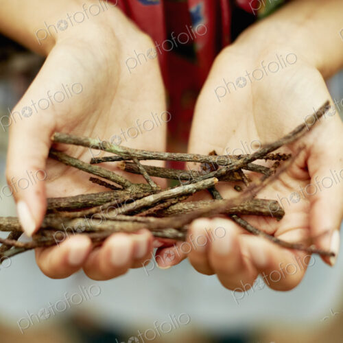 A person's hands holding a small bunch of twigs, kindling for the camp fire.