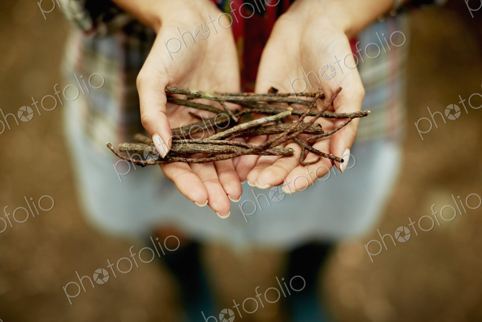 A person’s hands holding a small bunch of twigs, kindling for the camp fire.