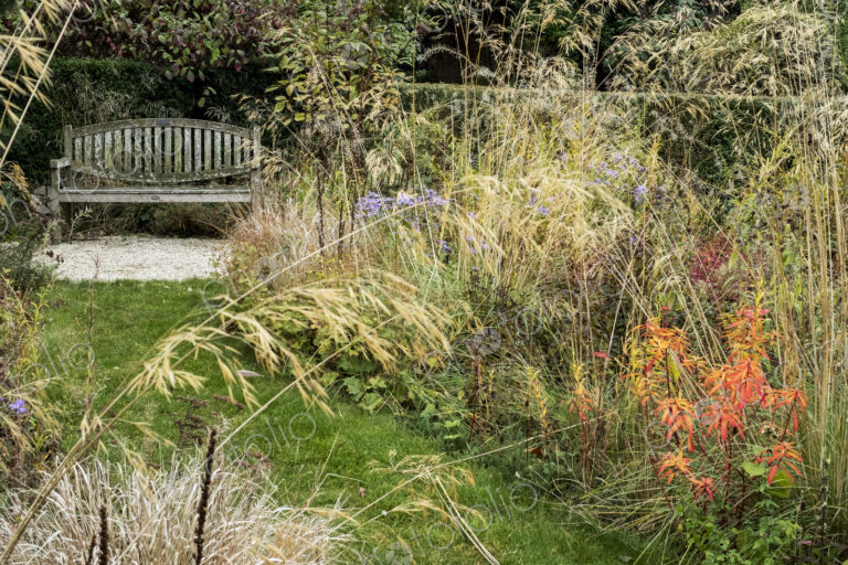 A prairie planting scheme in the garden of a hotel, long grasses and autumn foliage in…