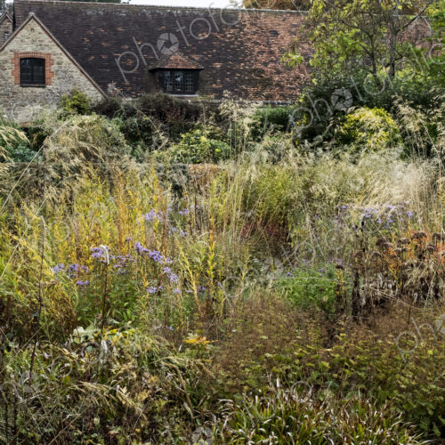 A prairie planting scheme in the garden of a hotel, long grasses and autumn foliage in… A prairie planting scheme in the garden of a hotel, long grasses and autumn foliage in…
