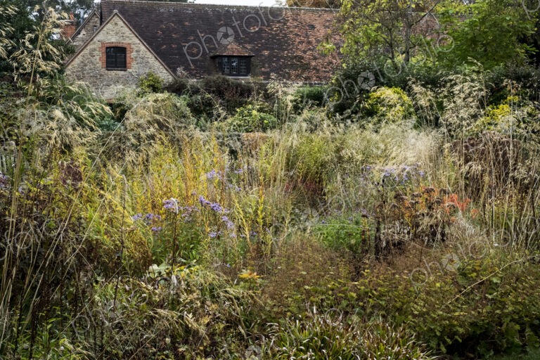 A prairie planting scheme in the garden of a hotel, long grasses and autumn foliage in…
