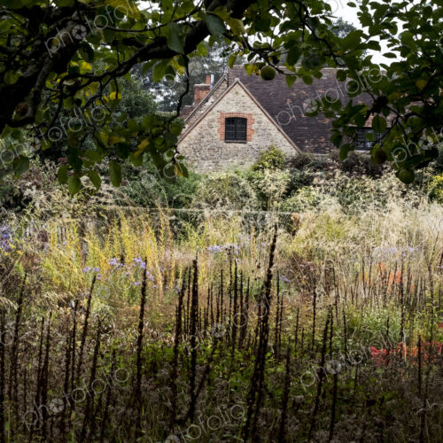 A prairie planting scheme in the garden of a hotel, long grasses and autumn foliage in… A prairie planting scheme in the garden of a hotel, long grasses and autumn foliage in…