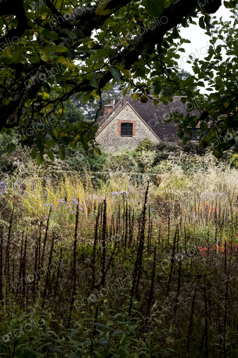 A prairie planting scheme in the garden of a hotel, long grasses and autumn foliage in…