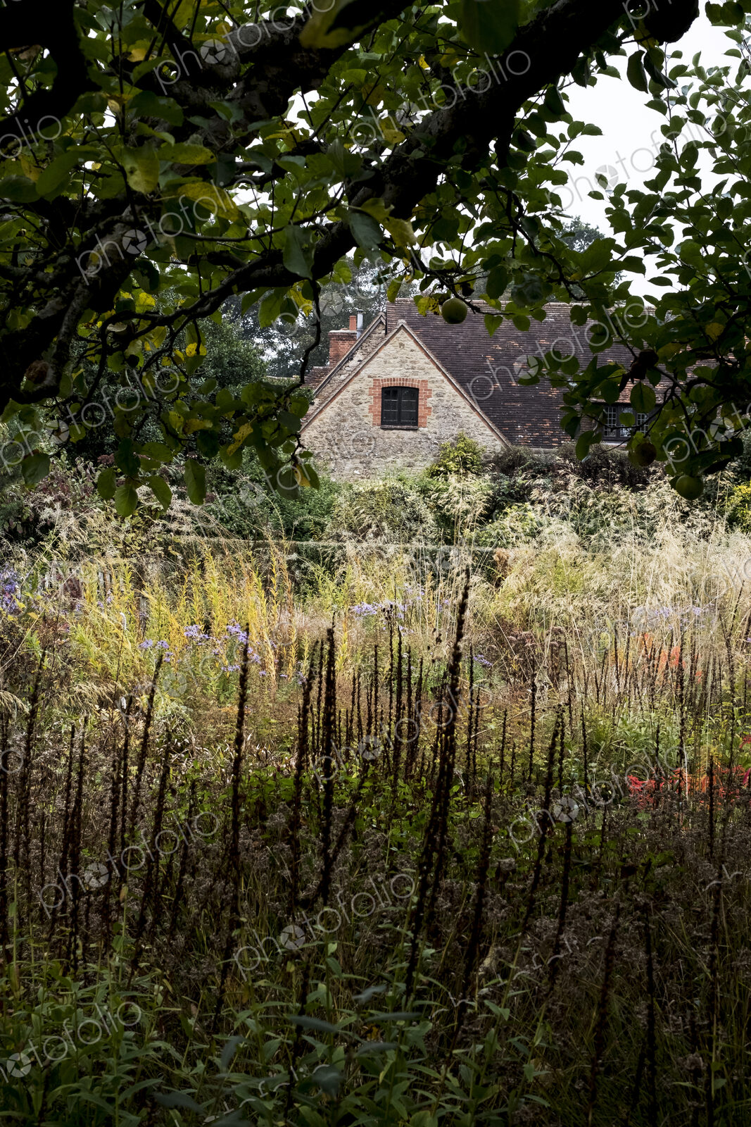 A prairie planting scheme in the garden of a hotel, long grasses and autumn foliage in…