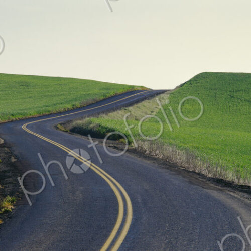 A quiet country road passing through a field of wheat, Spokane County, Washington, USA. A quiet country road passing through a field of wheat, Spokane County, Washington, USA.