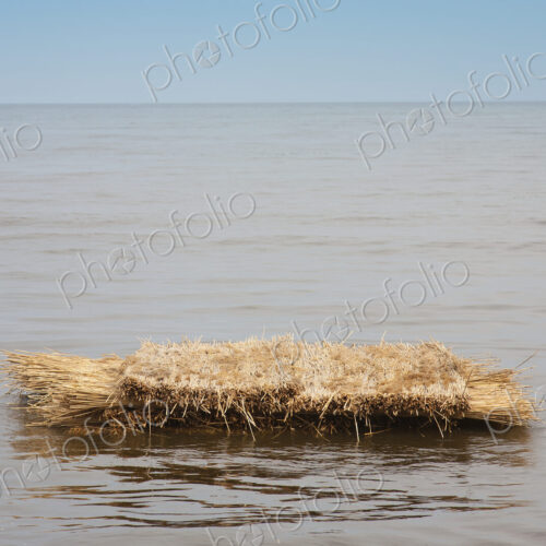 A raft of straw on the surface of water