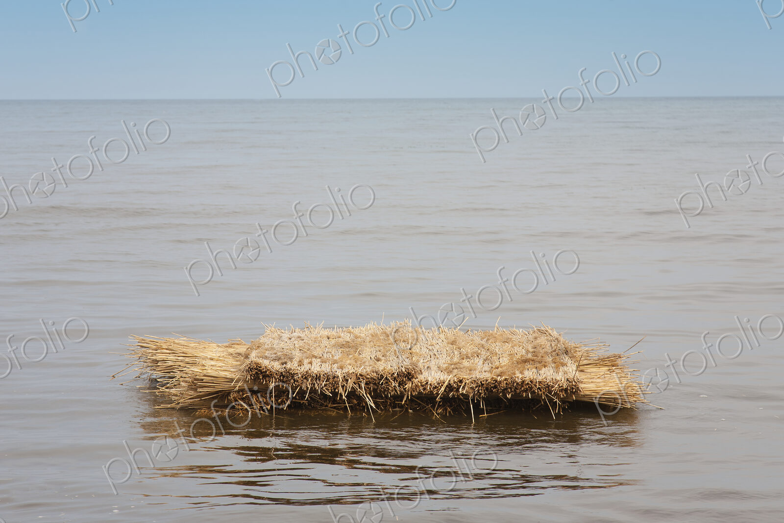 A raft of straw on the surface of water