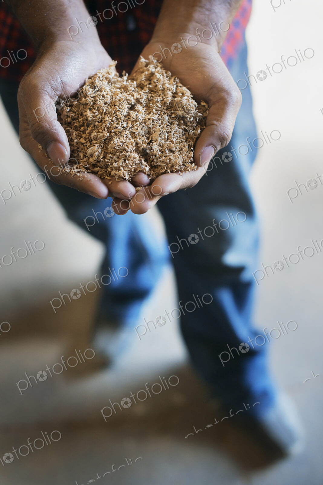 A reclaimed lumber workshop. A man holding a double handful of wood shavings.