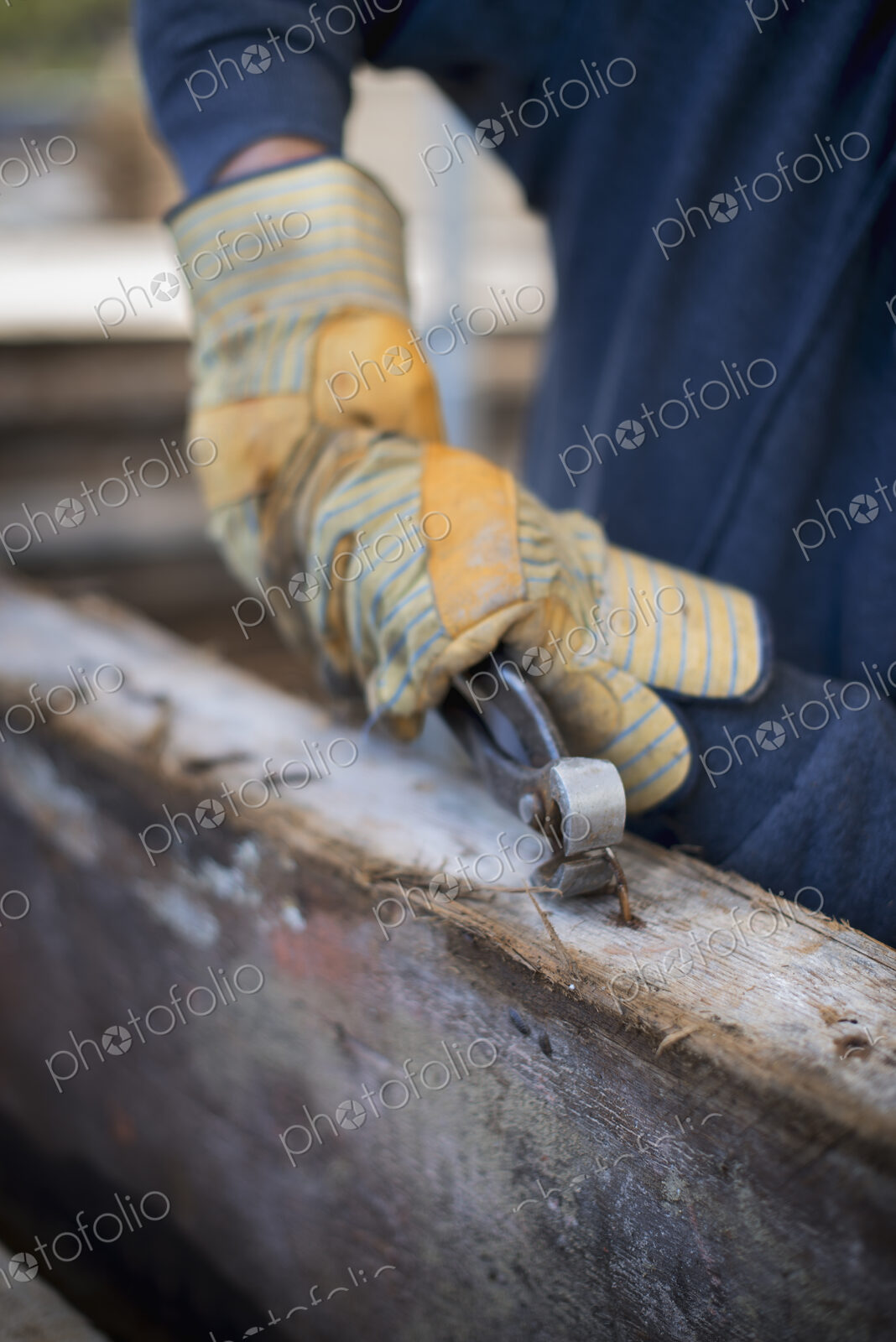 A reclaimed lumber workshop. A man preparing the timber by removing all the nails and…