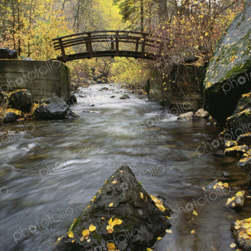 A river running through American Fork Canyon. Small wooden bridge. Autumn foliage, and… A river running through American Fork Canyon. Small wooden bridge. Autumn foliage, and…