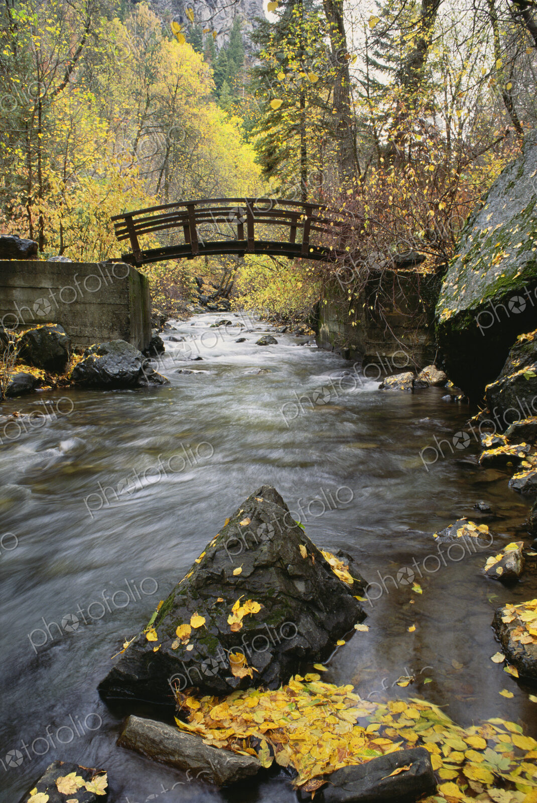 A river running through American Fork Canyon. Small wooden bridge. Autumn foliage, and…