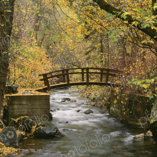 A river running through American Fork Canyon. Small wooden bridge. Autumn foliage, and… A river running through American Fork Canyon. Small wooden bridge. Autumn foliage, and…