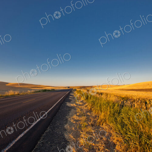 A road through a farming landscape, straight road and undulating farmland, with golden…