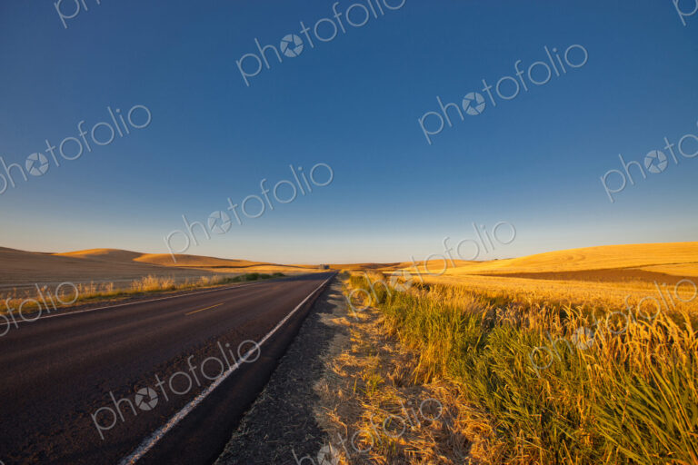 A road through a farming landscape, straight road and undulating farmland, with golden…