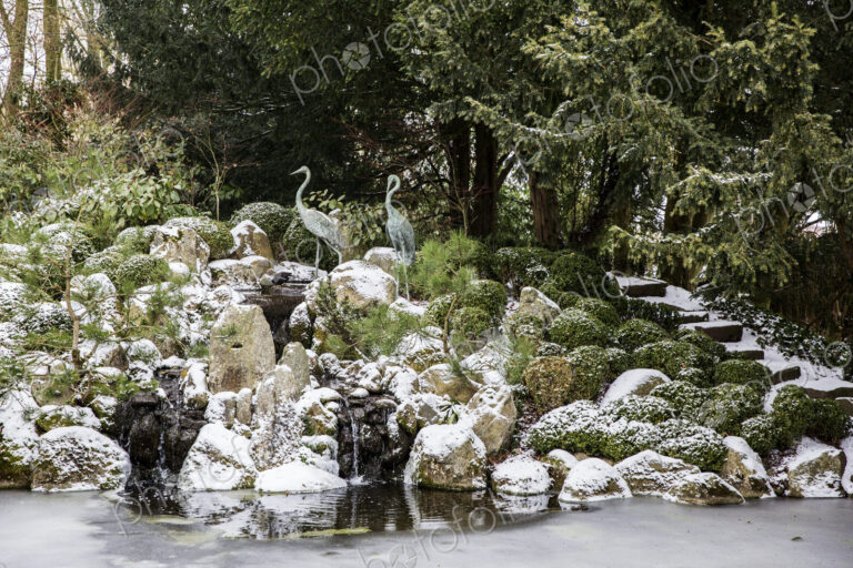 A rockery above a water pool with ice sheets on the water surface and yew trees above.