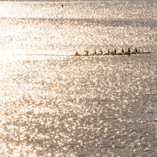 A rowing eight crew in a shell on the water, sunshine reflecting on the surface.