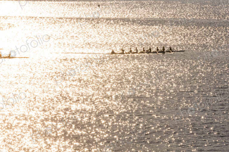 A rowing eight crew in a shell on the water, sunshine reflecting on the surface.