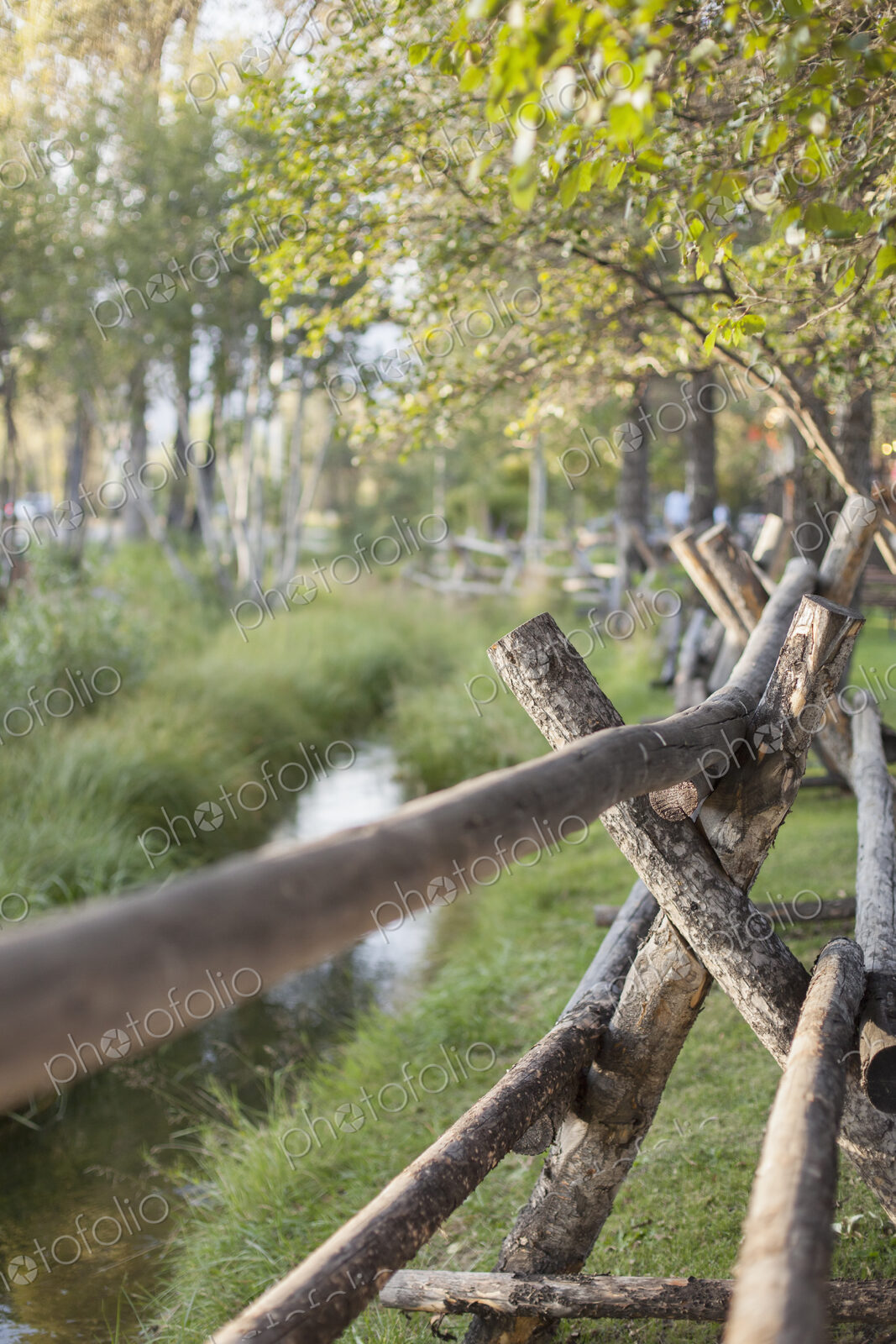 A rural scene, view over a fence made of wooden posts. A small stream. Trees with…