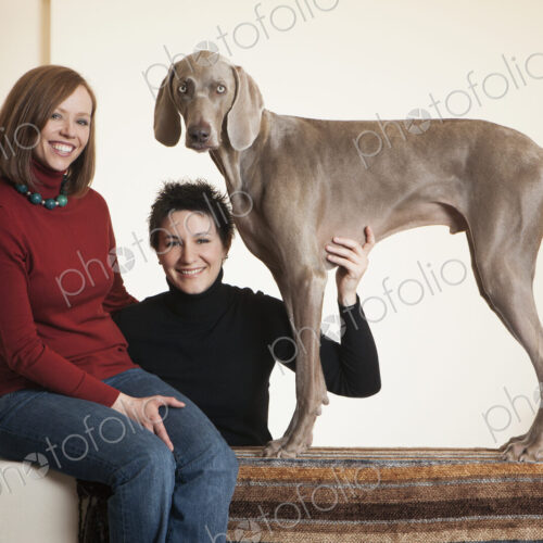 A same sex couple, two women posing with their Weimaraner pedigree dog. A same sex couple, two women posing with their Weimaraner pedigree dog.