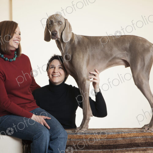 A same sex couple, two women posing with their Weimaraner pedigree dog. A same sex couple, two women posing with their Weimaraner pedigree dog.