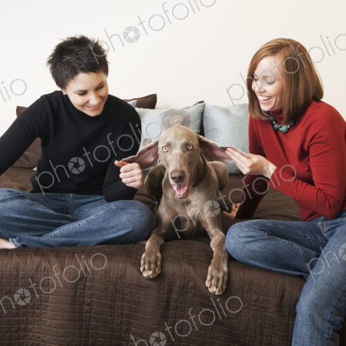 A same sex couple, two women posing with their weimeranar pedigree dog between them. A same sex couple, two women posing with their weimeranar pedigree dog between them.
