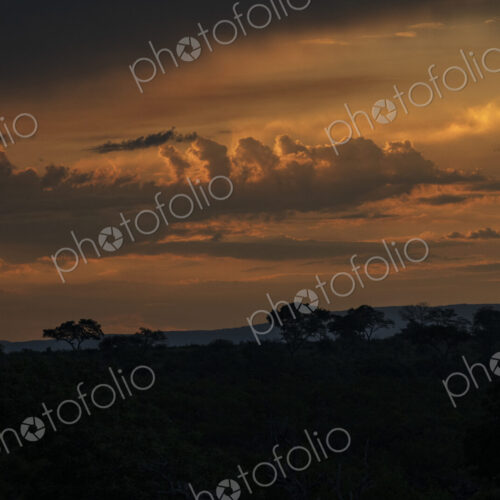 A serene African sunset over the landscape, capturing the golden light of dusk.