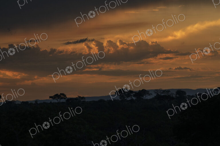 A serene African sunset over the landscape, capturing the golden light of dusk.