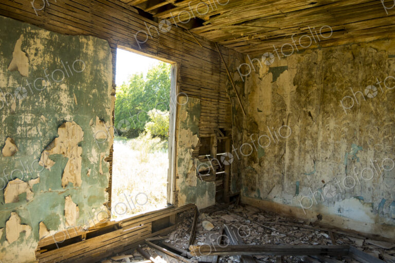 A shell of a building, a derelict house interior, exposed timbers and peeling…