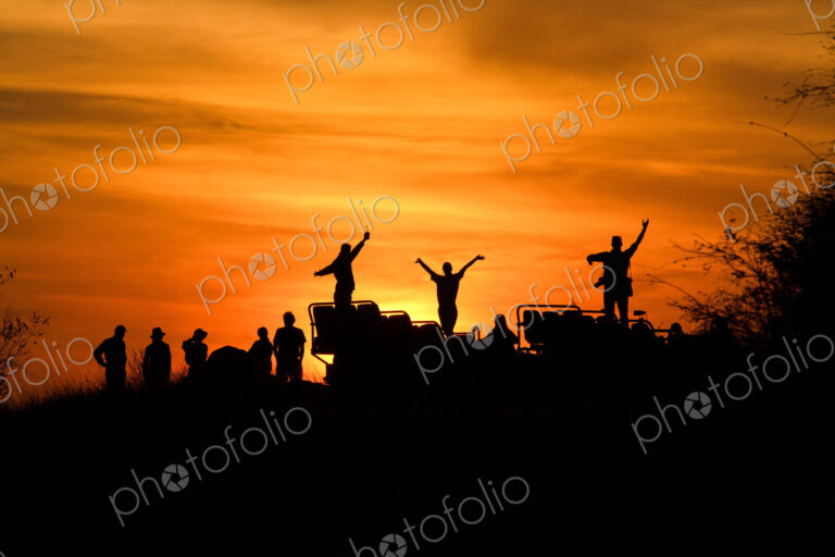 A silhouette of people and a vehicle, people with hands in the air, against sunset,…