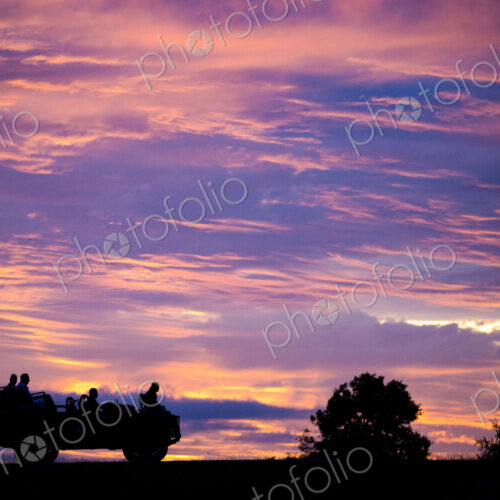A silhouette of the side profile of people sitting in a Land Rover against pink,… A silhouette of the side profile of people sitting in a Land Rover against pink,…