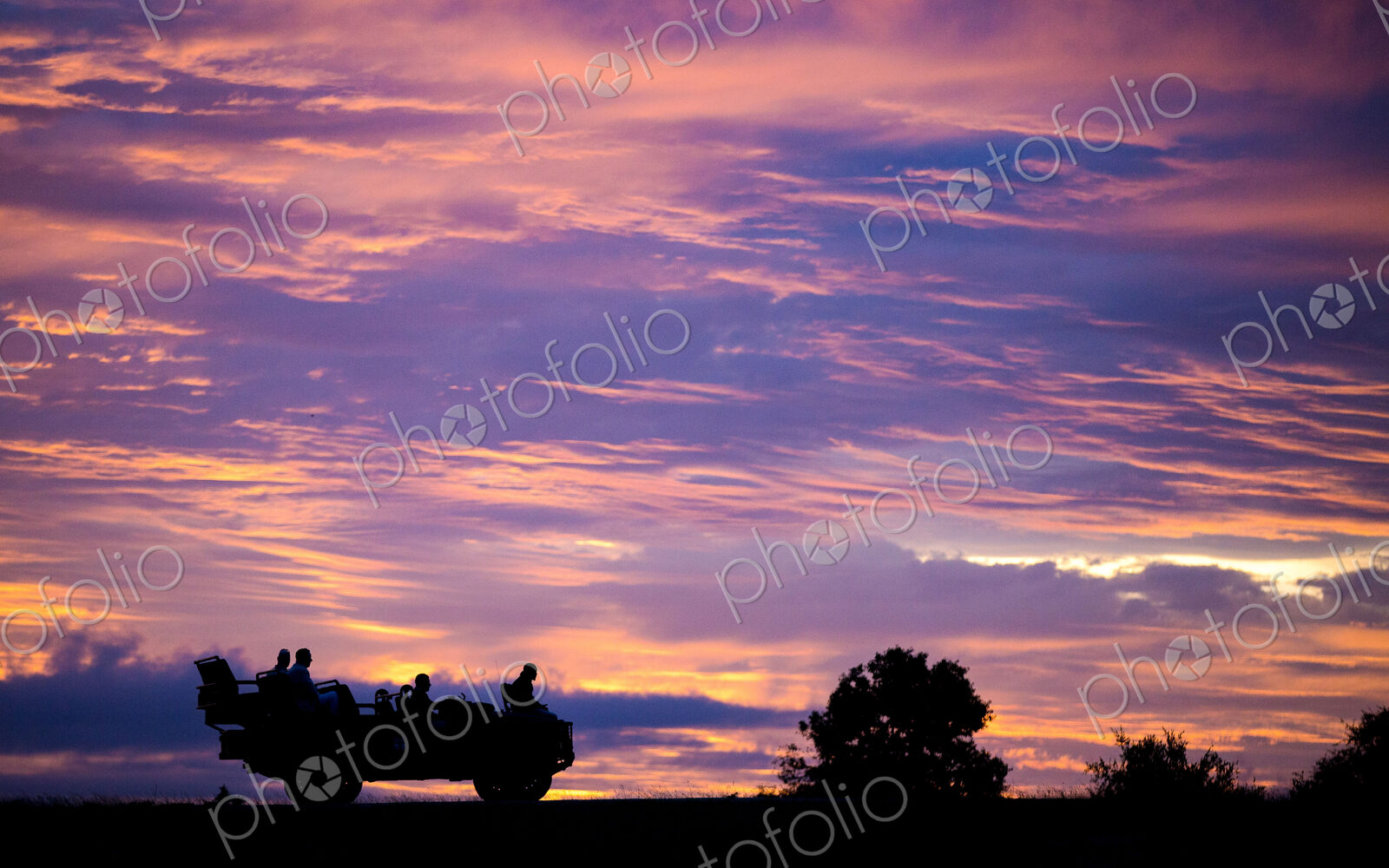 A silhouette of the side profile of people sitting in a Land Rover against pink,…