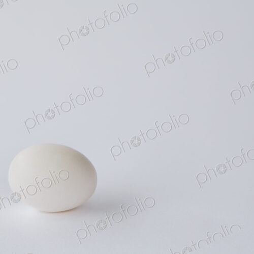 A single free range organic egg with a white shell against a white background. A single free range organic egg with a white shell against a white background.