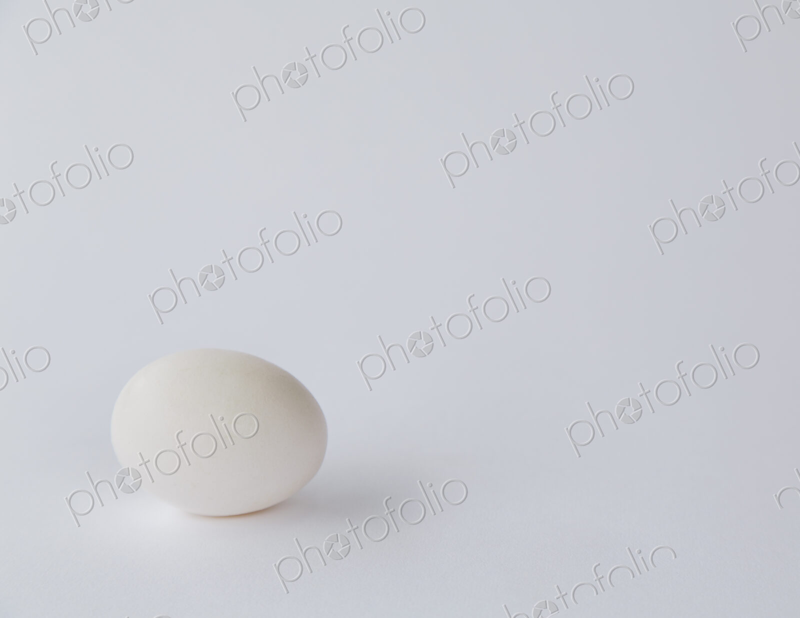 A single free range organic egg with a white shell against a white background.