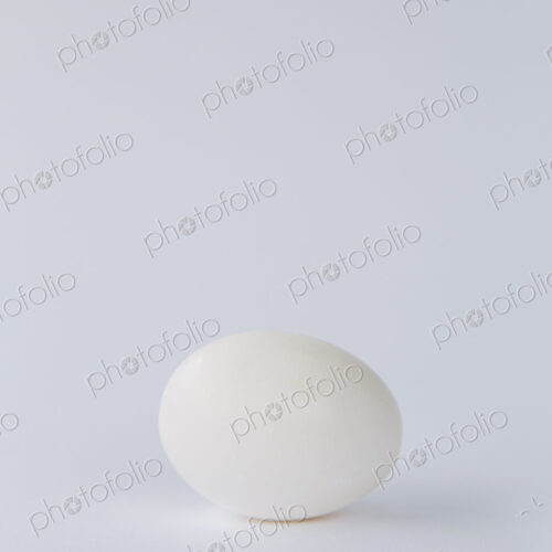 A single free range organic egg with a white shell against a white background. A single free range organic egg with a white shell against a white background.