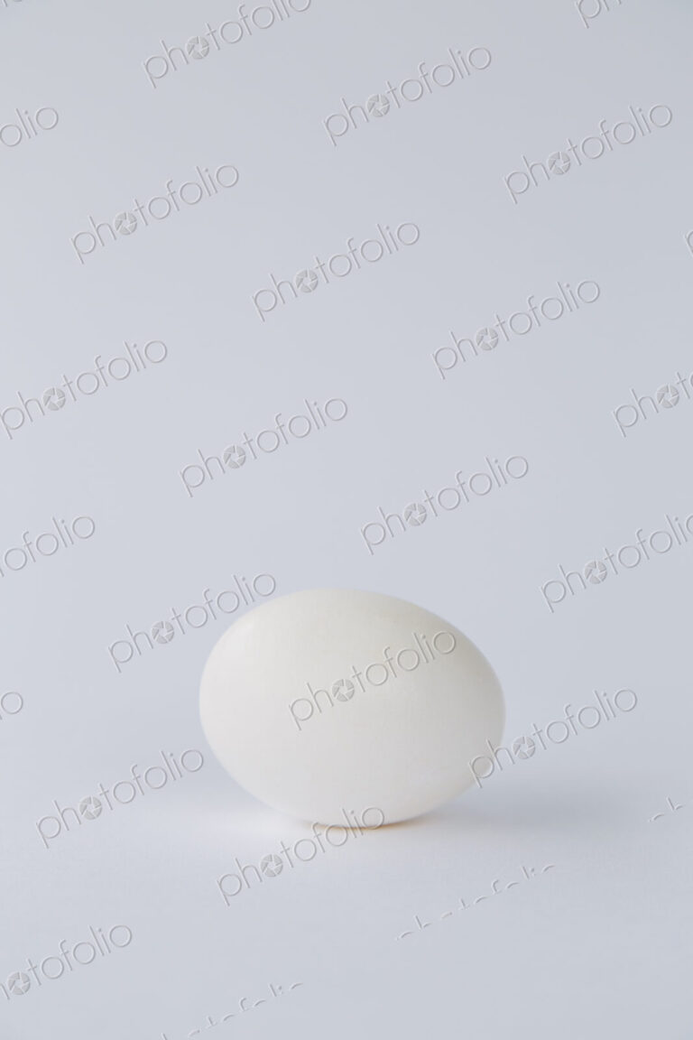 A single free range organic egg with a white shell against a white background.
