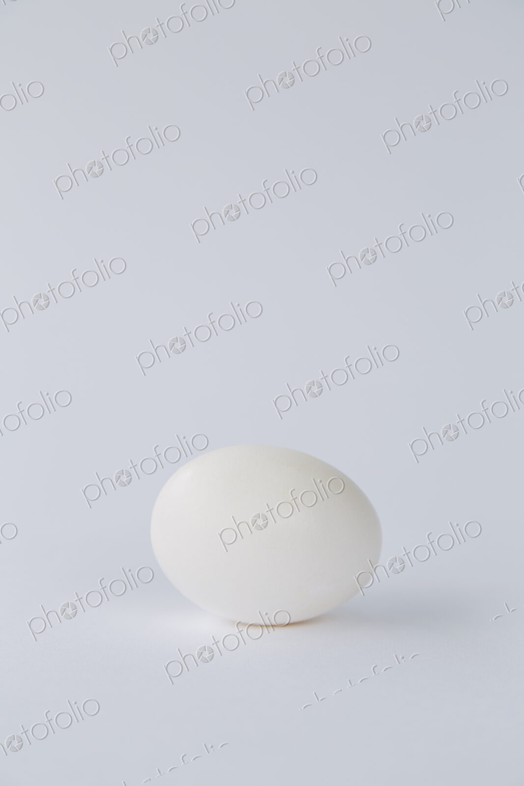 A single free range organic egg with a white shell against a white background.