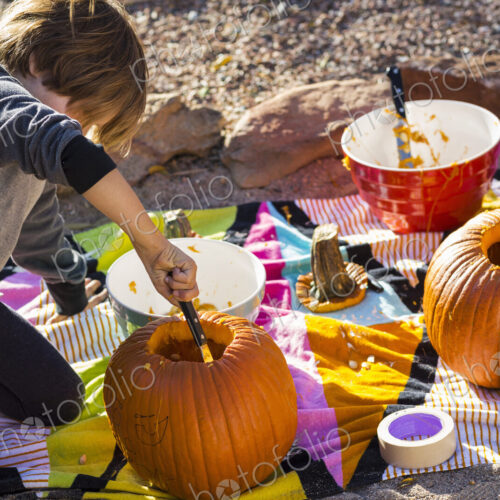 A six year old boy carving a pumpkin at Halloween.