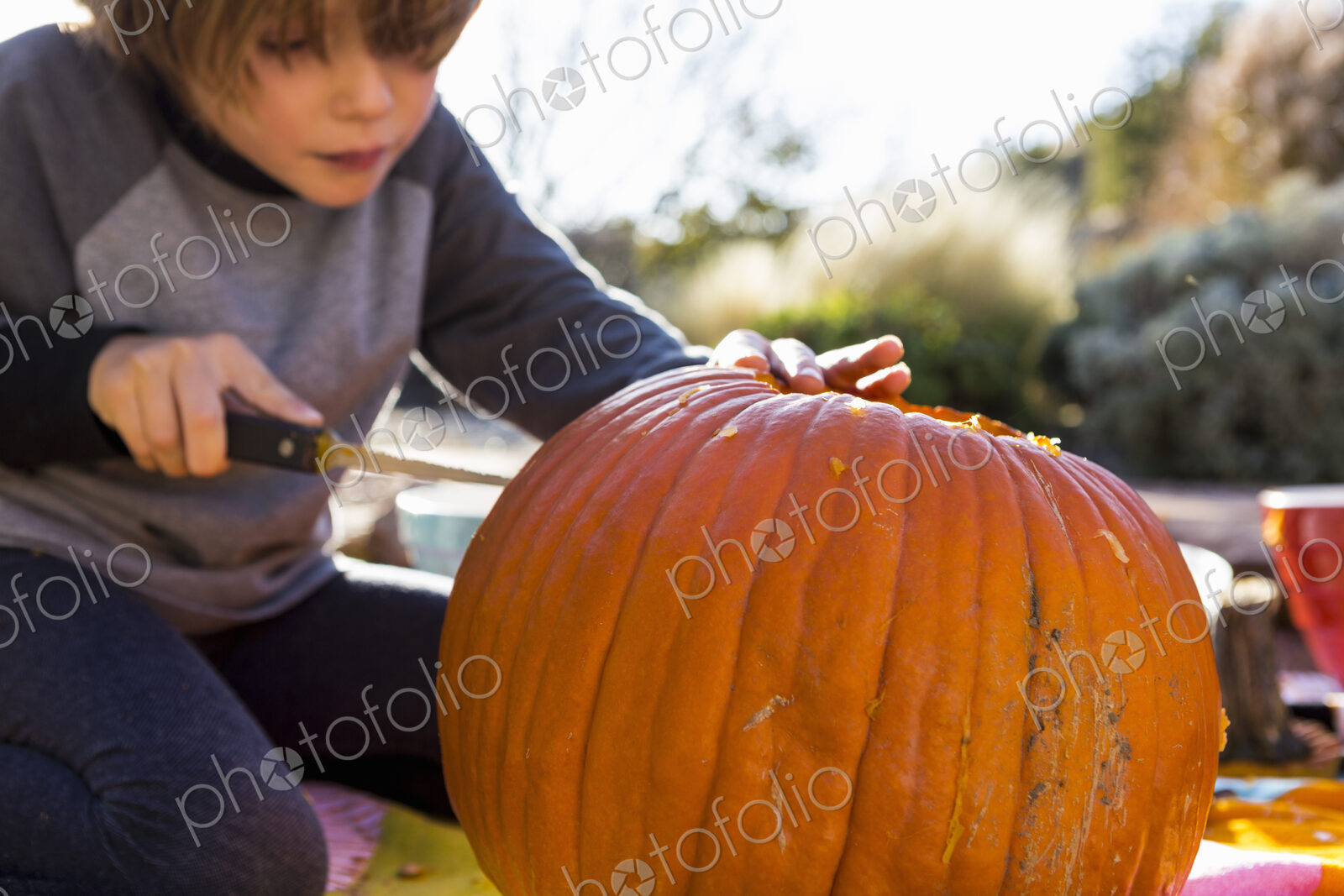 A six year old boy carving a pumpkin at Halloween.